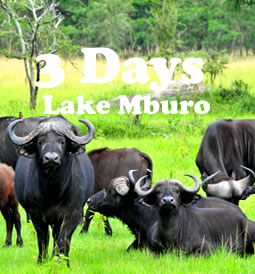 lake-mburo