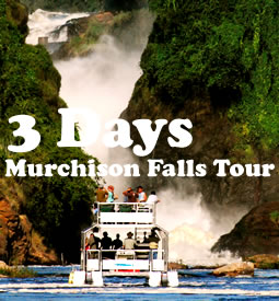 murchion-falls