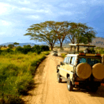 4×4 Safari Cars